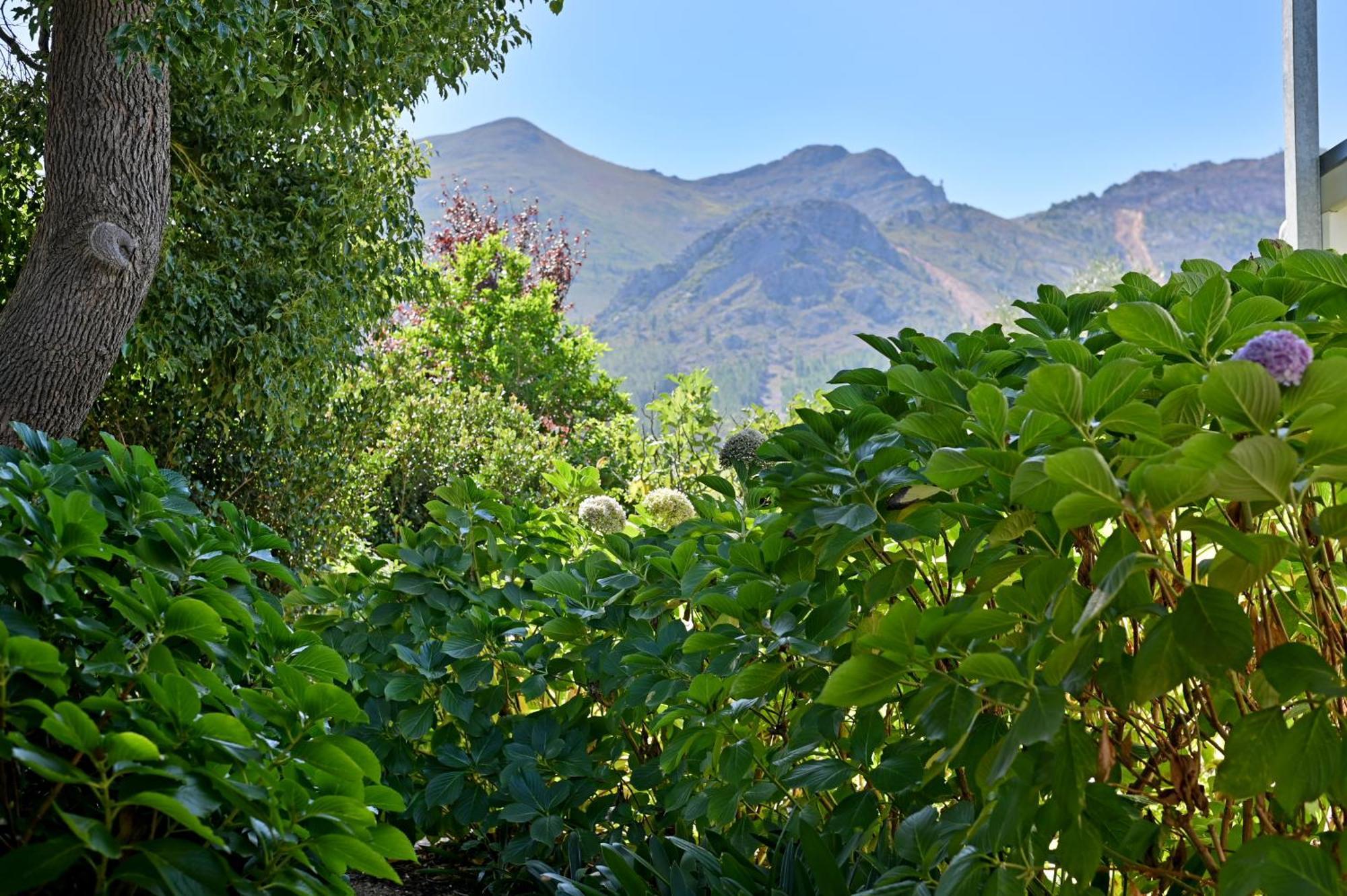 Fransvliet Guest House Franschhoek Dış mekan fotoğraf