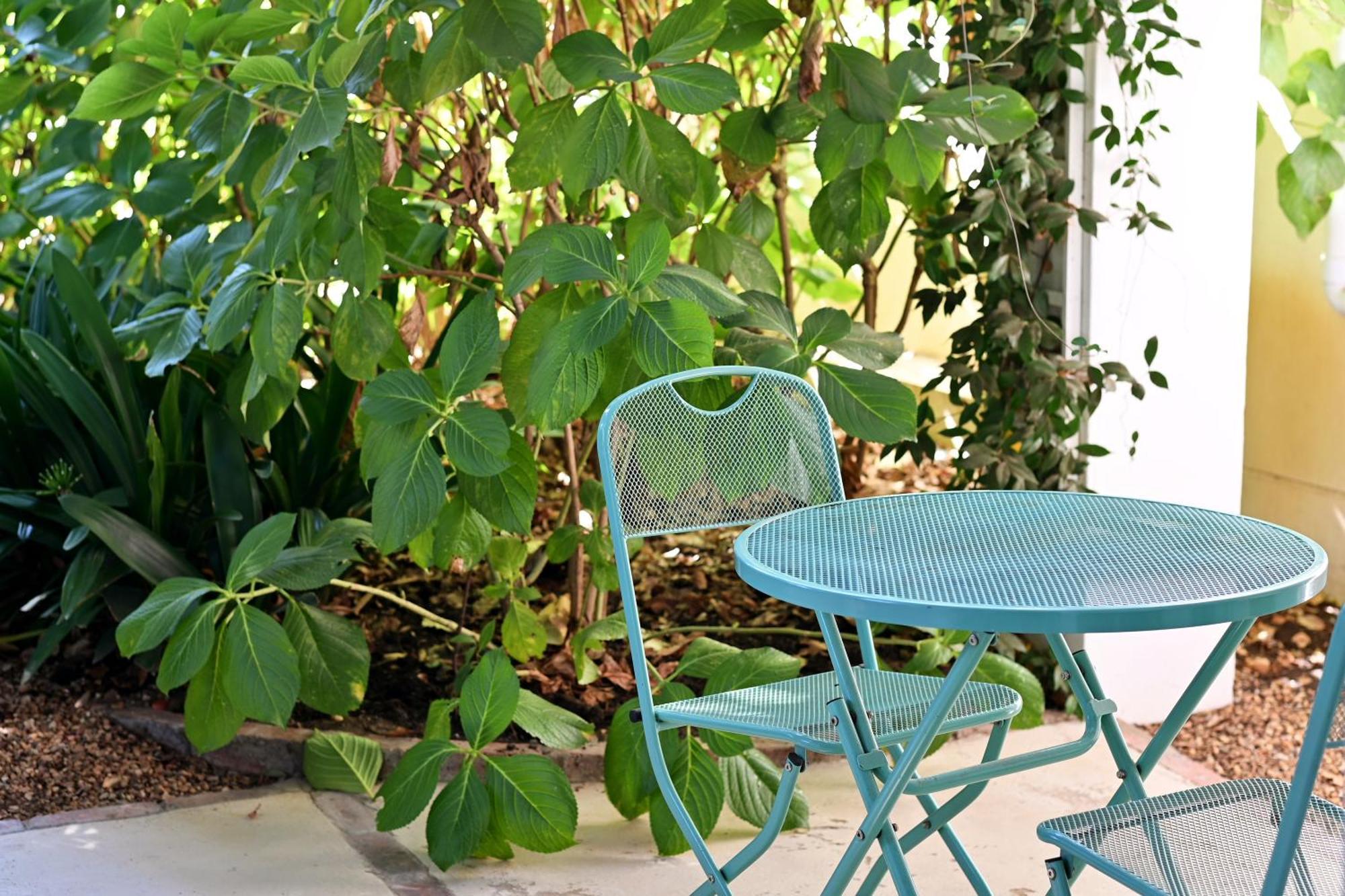 Fransvliet Guest House Franschhoek Dış mekan fotoğraf